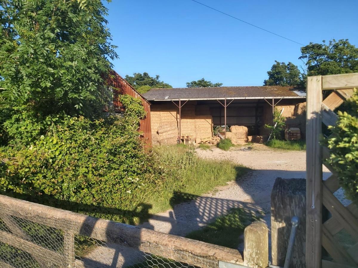 Beautiful Barn Conversion, 3 Bed, Hot Tub, Sauna, Gym, Enclosed Garden Ryde  Ngoại thất bức ảnh